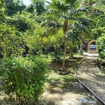 Mini Pini Bird Watching And Cenote Loft Villa Cozumel Dış mekan fotoğraf