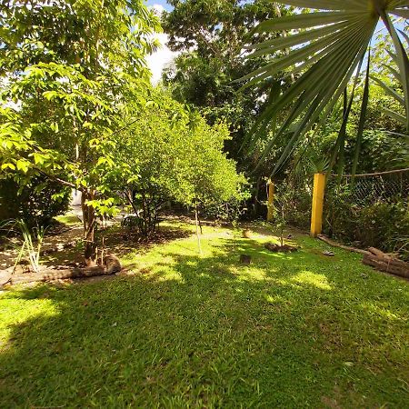 Mini Pini Bird Watching And Cenote Loft Villa Cozumel Dış mekan fotoğraf