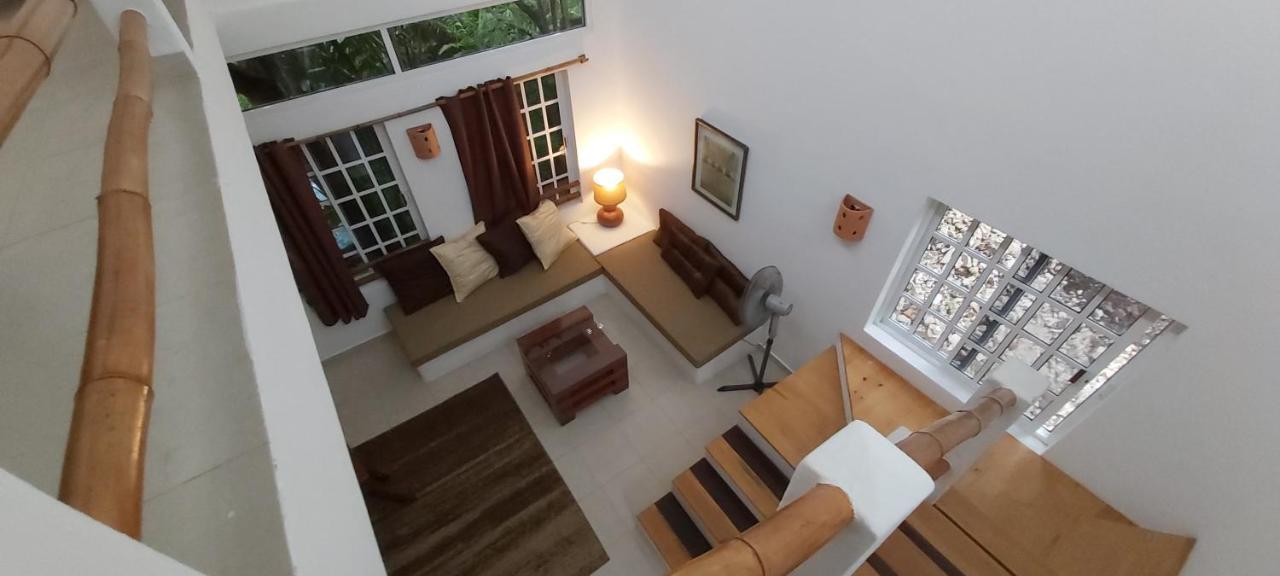 Mini Pini Bird Watching And Cenote Loft Villa Cozumel Dış mekan fotoğraf