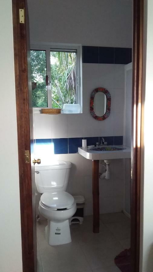 Mini Pini Bird Watching And Cenote Loft Villa Cozumel Dış mekan fotoğraf