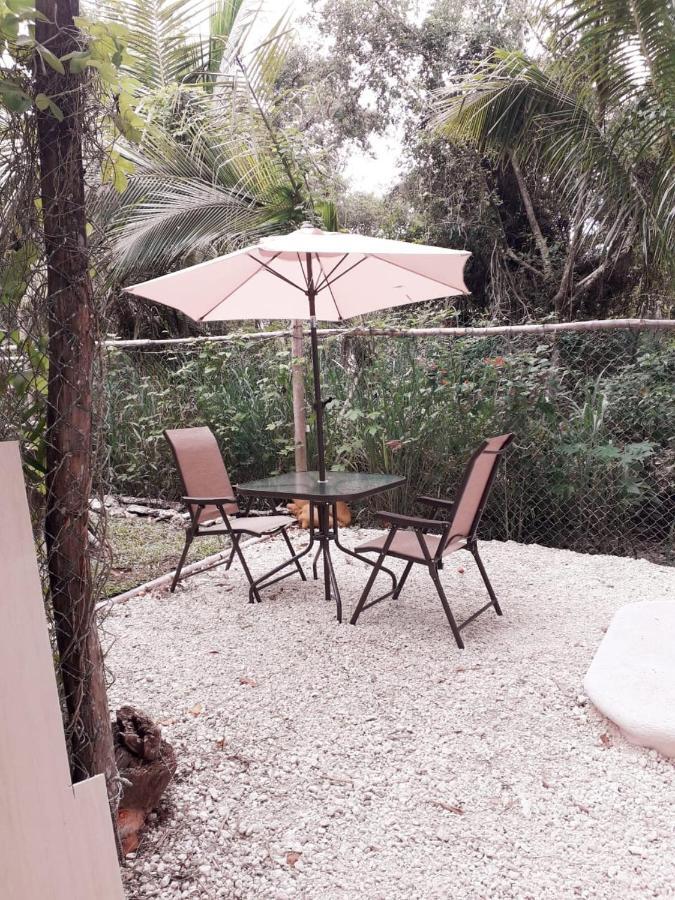 Mini Pini Bird Watching And Cenote Loft Villa Cozumel Dış mekan fotoğraf