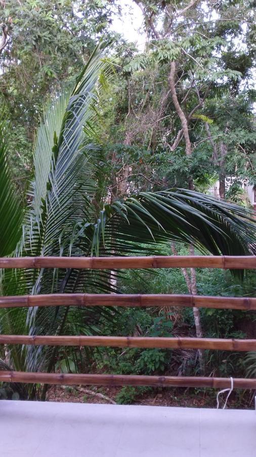 Mini Pini Bird Watching And Cenote Loft Villa Cozumel Dış mekan fotoğraf