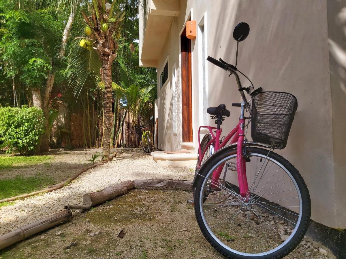 Mini Pini Bird Watching And Cenote Loft Villa Cozumel Dış mekan fotoğraf