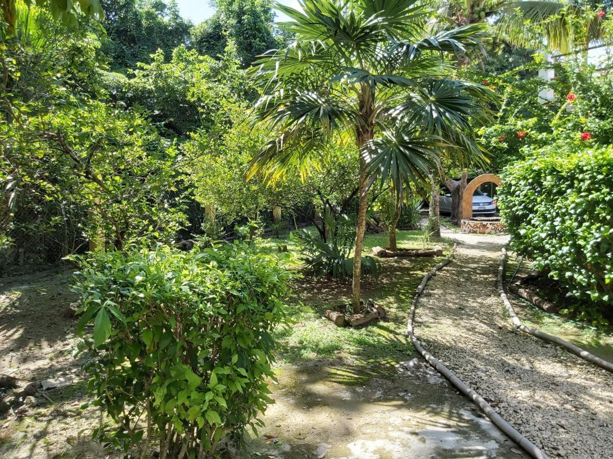 Mini Pini Bird Watching And Cenote Loft Villa Cozumel Dış mekan fotoğraf