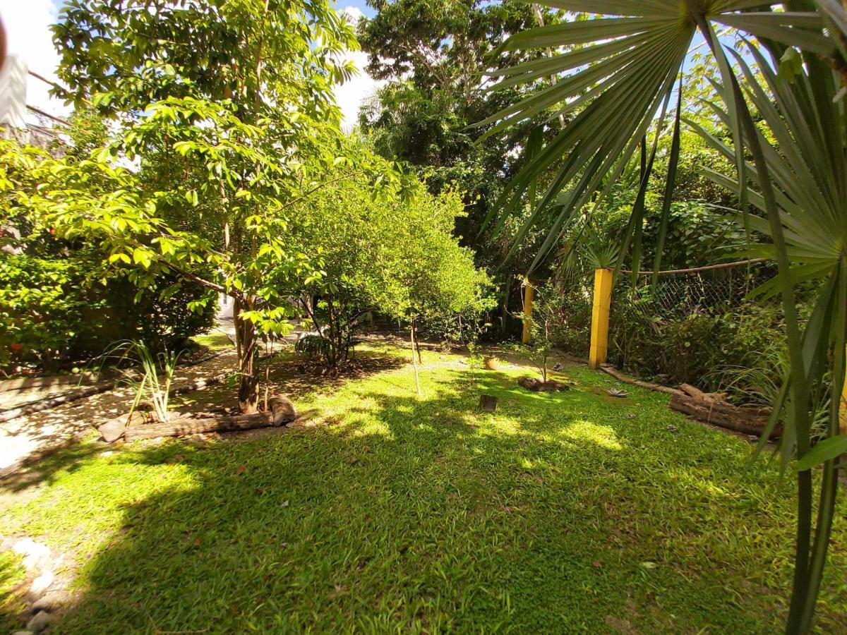Mini Pini Bird Watching And Cenote Loft Villa Cozumel Dış mekan fotoğraf